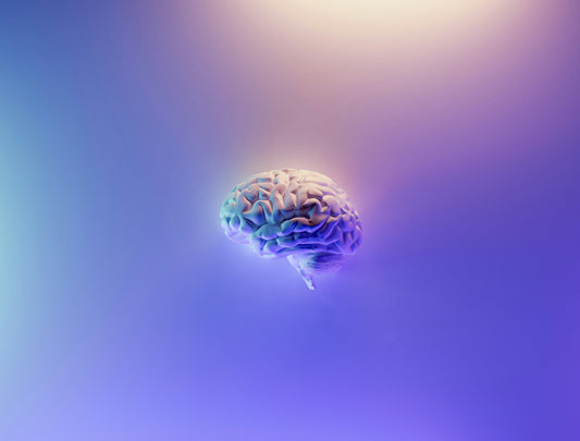 What Are Nootropics and How Do They Affect Brain Chemistry?